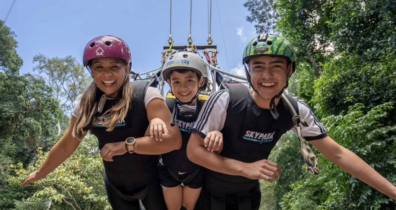 Family Swing Skypark Website