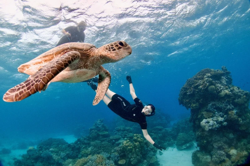 snorkelling