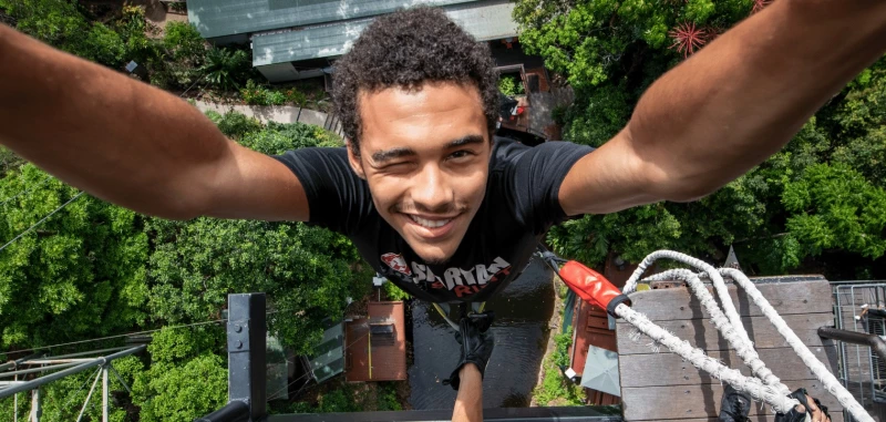 Bar Drop Wink Website Version